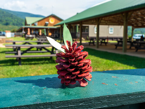A pinecone decorated to look like an apple