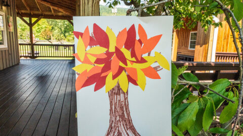 A drawing of a tree with glued-on paper leaves