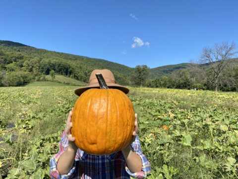 Orchard visitor holding a pumpkin in the pumpkin patch