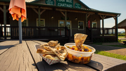 pita chips and chutney