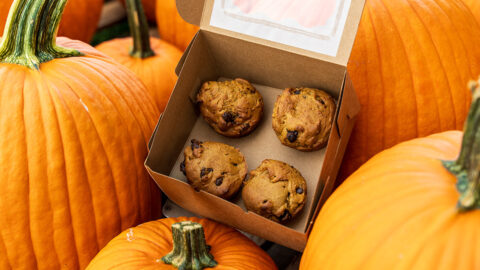 pumpkin muffins