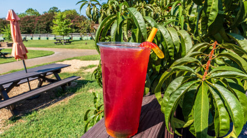 A red drink outdoors