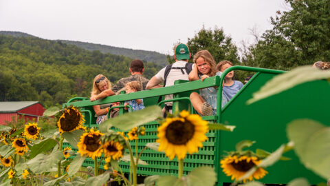 People on a hayride through a sunflower field