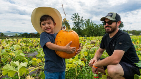 A boy and his dad picking pumpkins in a patch
