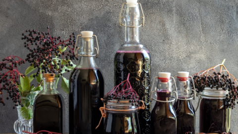 bottles of elderberry juice