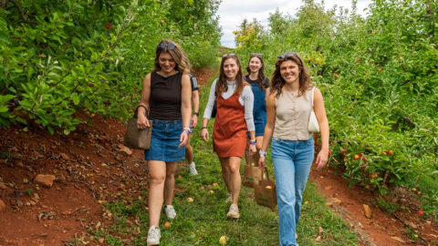 Four women strolling through an apple orchard